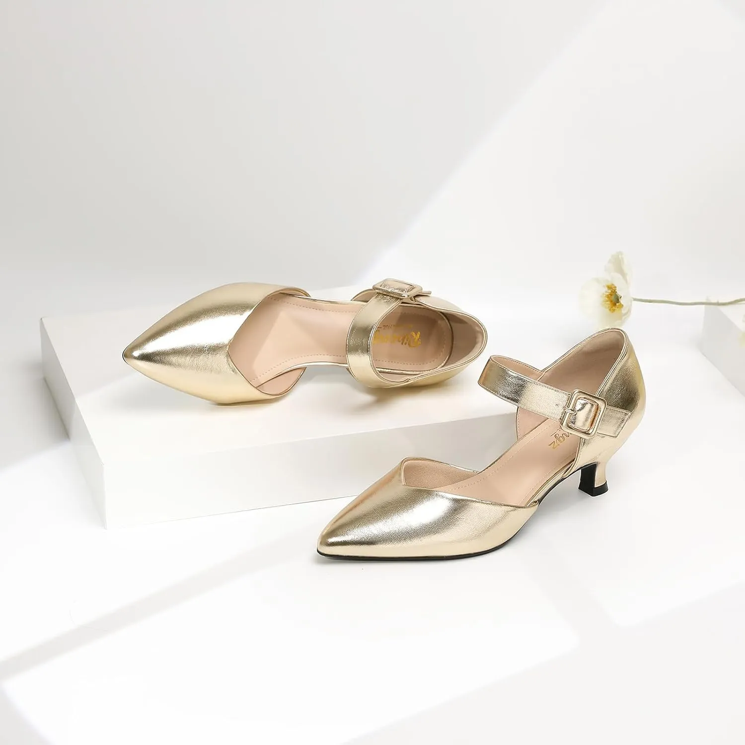 RIBONGZ Comfortable Kitten Heels for Women Pointed Closed Toe Ankle Strap Buckle Heels Slip on Low Heel Church Pumps Wedding Bridal Party Dressy Shoes