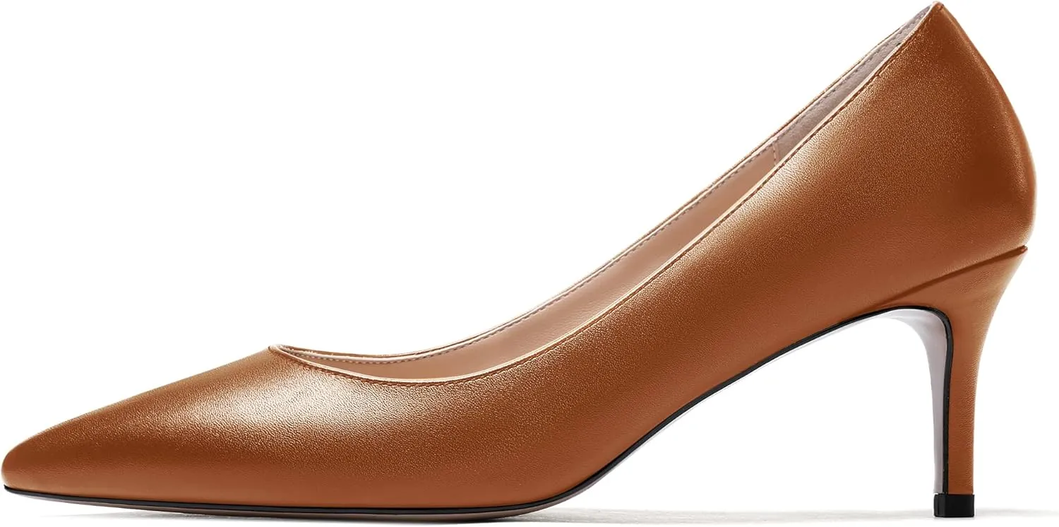 WAYDERNS Women's Slip On Solid Pointed Toe Matte Stiletto Mid Heel Pumps Shoes 2.5 Inch
