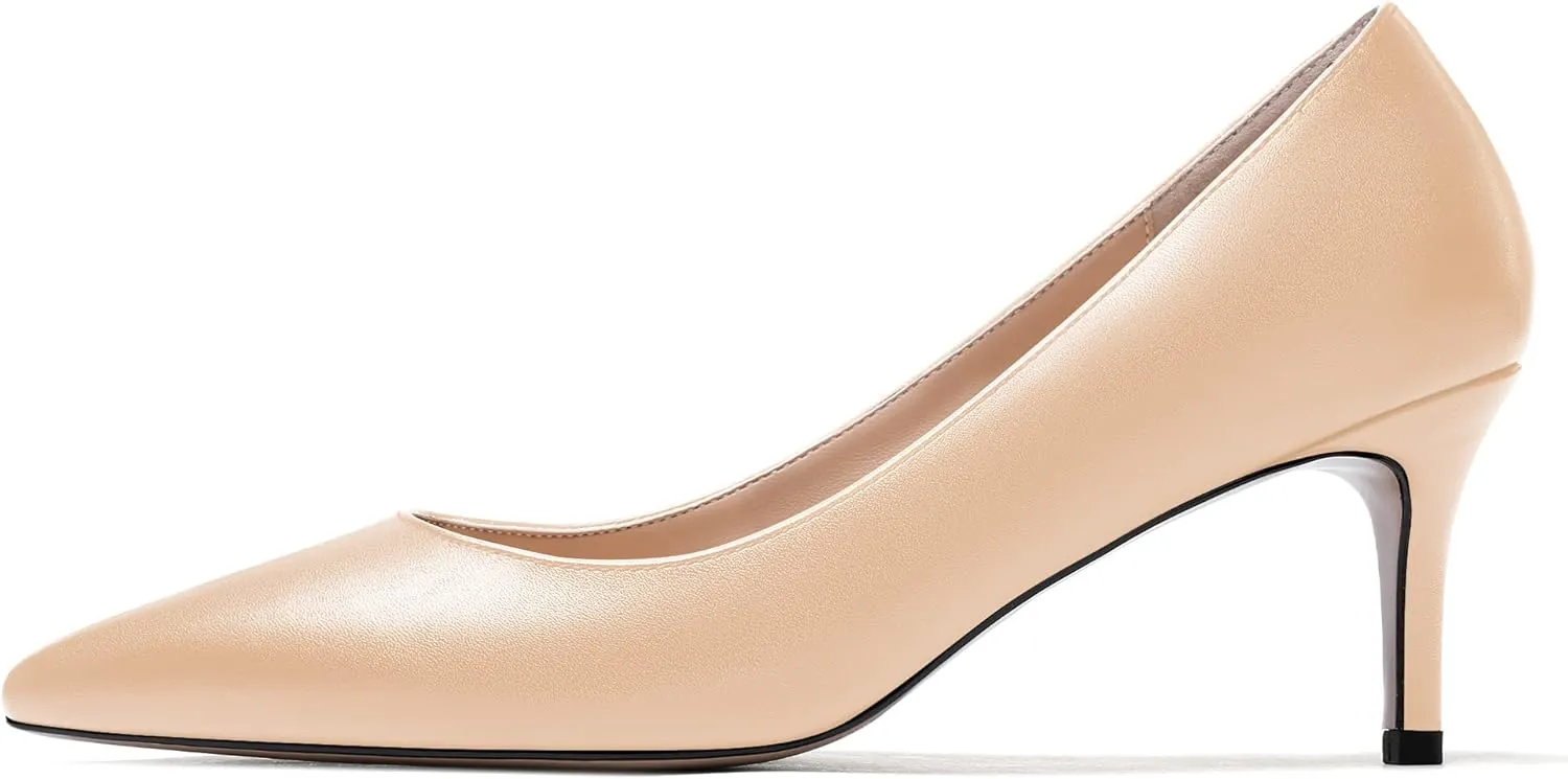 WAYDERNS Women's Slip On Solid Pointed Toe Matte Stiletto Mid Heel Pumps Shoes 2.5 Inch