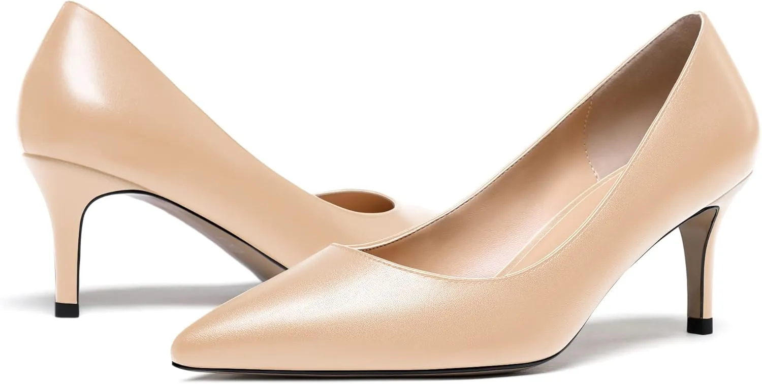 WAYDERNS Women's Slip On Solid Pointed Toe Matte Stiletto Mid Heel Pumps Shoes 2.5 Inch